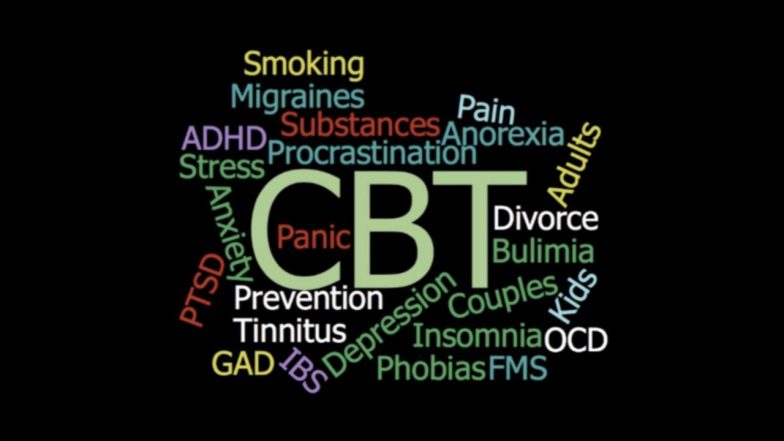 About this CBT Hub 2